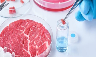 Лабораторный анализ пищевых продуктов по СанПиН в Слободской в октябре