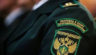 Подготовка к проверке Росприроднадзора в Слободской от ПромМир-Слб, стоимость услуги от 20610 руб.